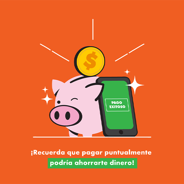 Apoyo Financiero — imagen 5