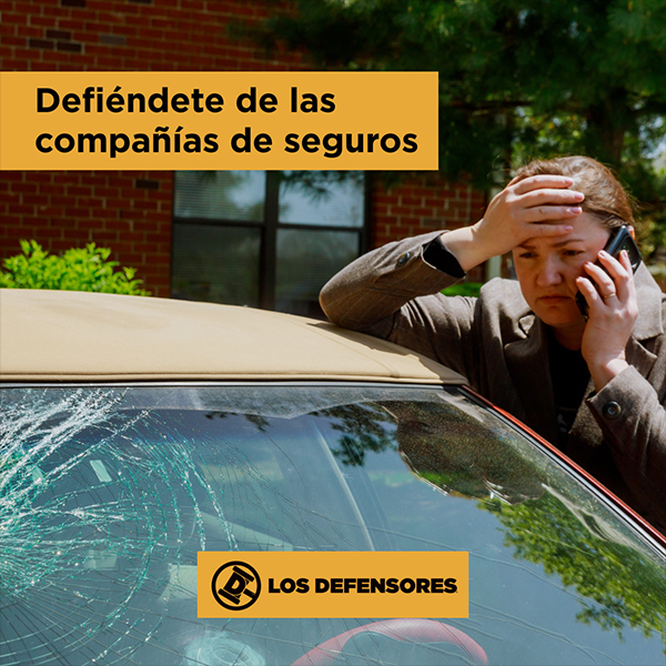 Los Defensores — imagen 5
